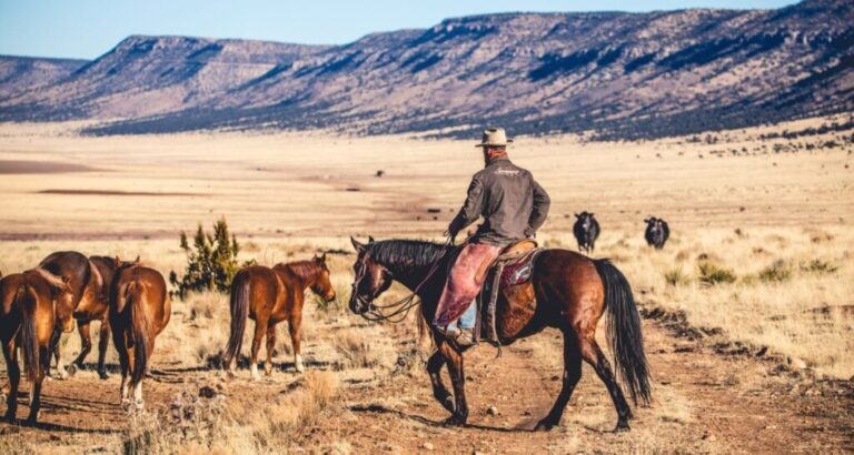 Save the Date for the Legacy Ranch Horse Sale in Prescott, Arizona ...